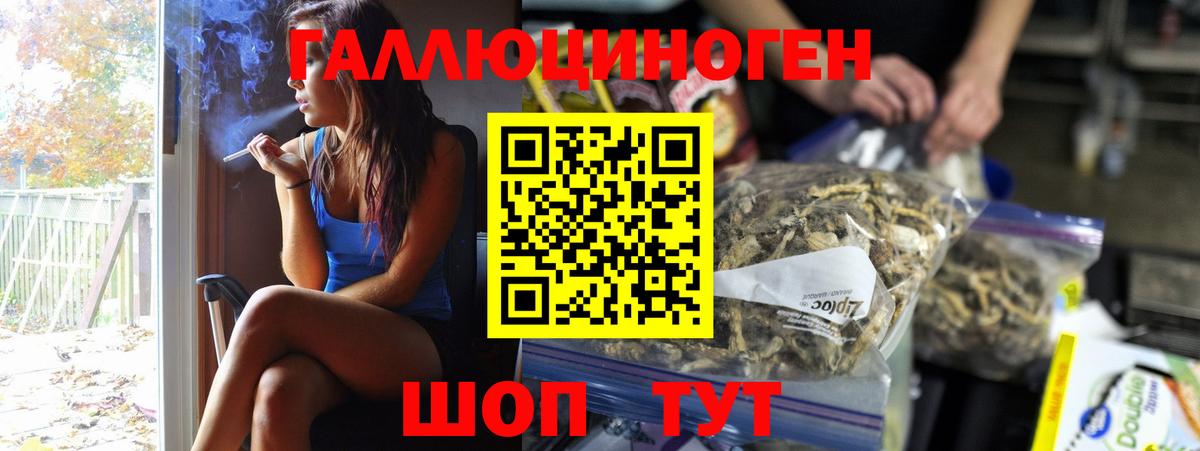 Канск  купить  цена  Вход с VPN  Псилоцибиновые грибы GOLDEN TEACHER 